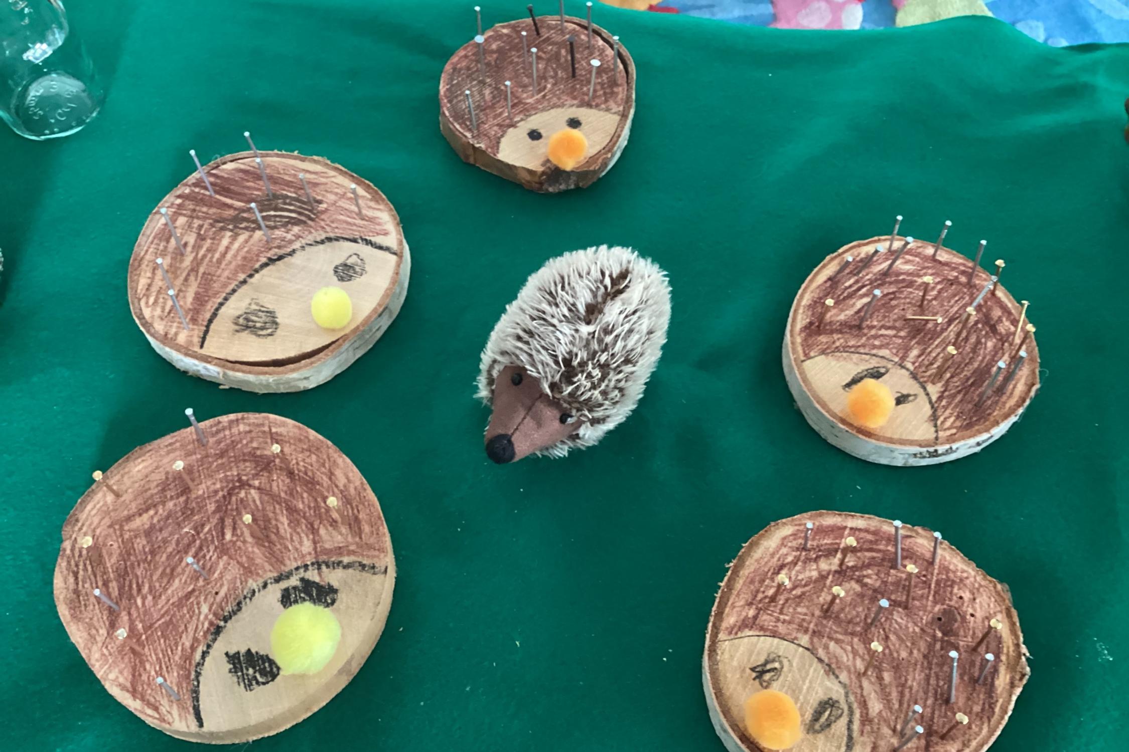 Igel 9_2026