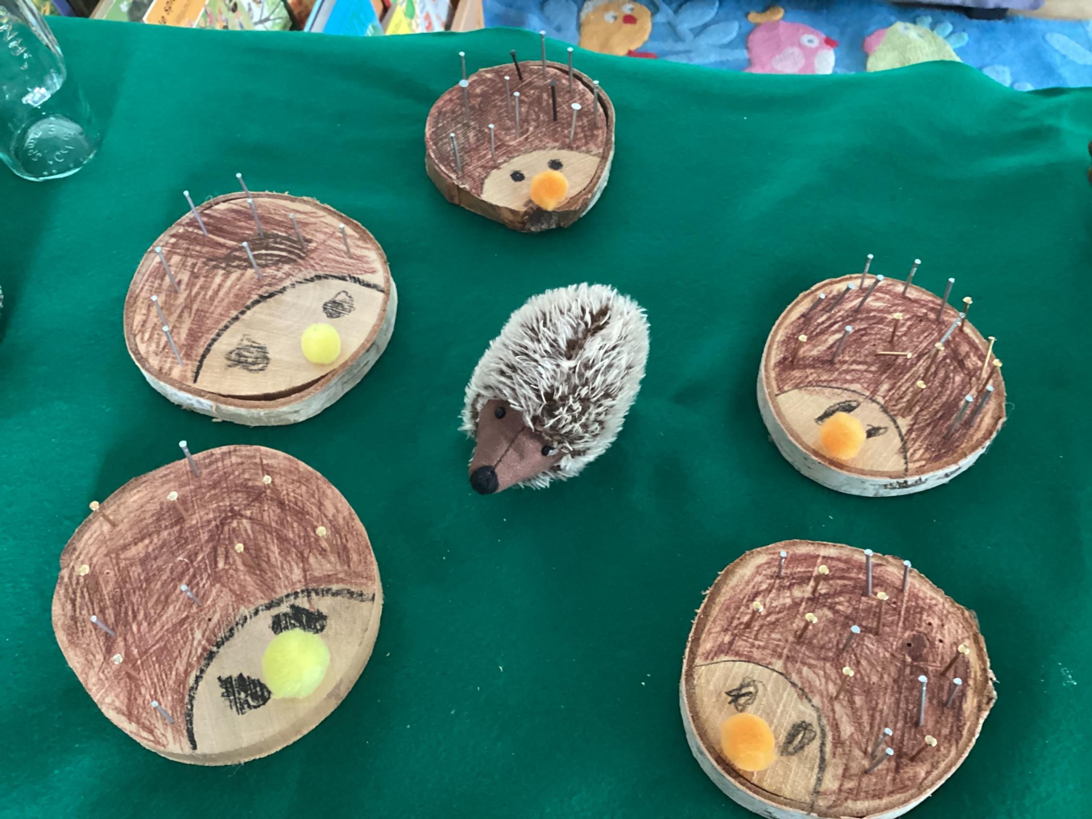 Igel 9_2026